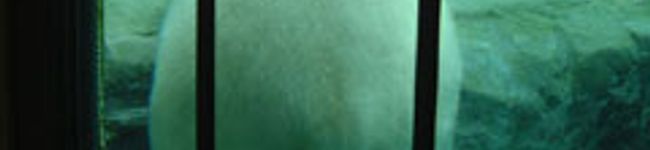 kazumin119's header image