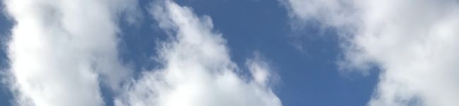 どきん0615's header image