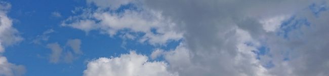 パパクルルヤック's header image
