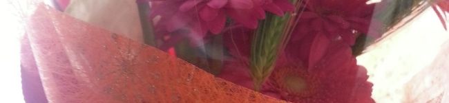 Hysk163's header image