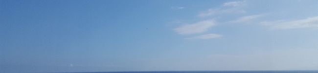 あんずちょびぽこここ's header image