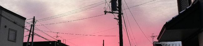 なおっぴーはん's header image