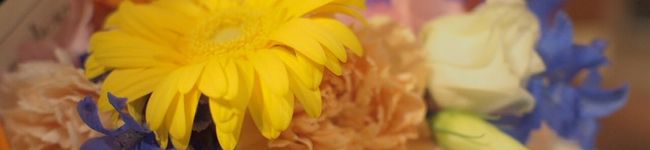 料理ニガテ系女子☆'s header image