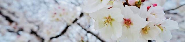 LinWenjiun's header image