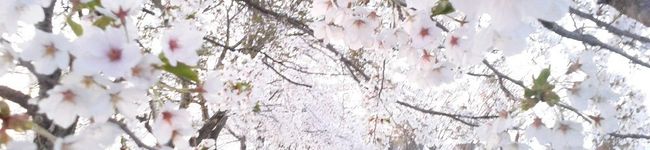 南のうお座♓'s header image