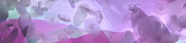 HamaYama's header image