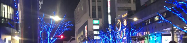 マグやん's header image