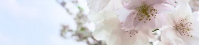 ひょ〜さん's header image
