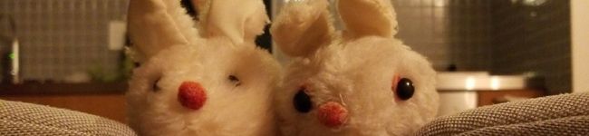 ミッヒーチャン's header image