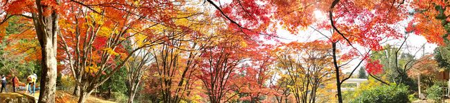 じぇんりー's header image