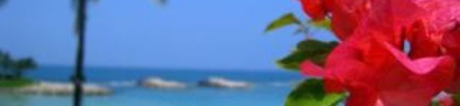 Kanaraki's header image