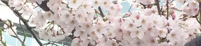 smile2149's header image