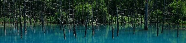 むぎ✳️ママ's header image
