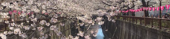 kei98rurur's header image