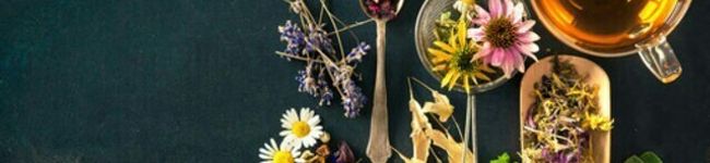 eri_herb's header image