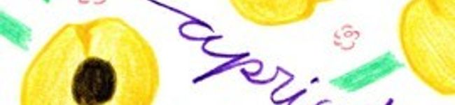 324R's header image