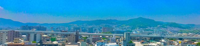つぶにょん's header image