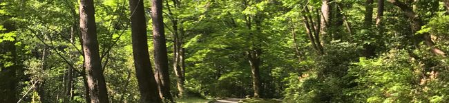 社畜や's header image