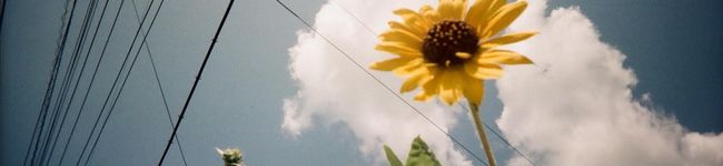 兎ママ's header image