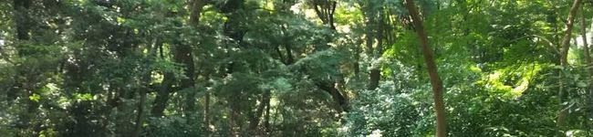yokku_2386's header image