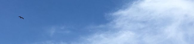 姉cafe's header image
