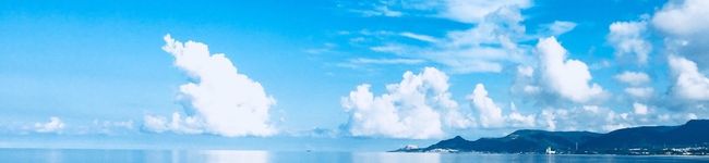 ♬ディノ's header image