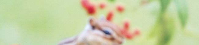 クックM704R8☆'s header image