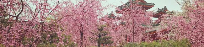 KAoRI03's header image