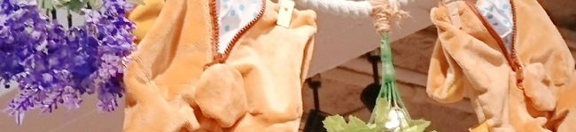 ♡鈴木ももか♡'s header image