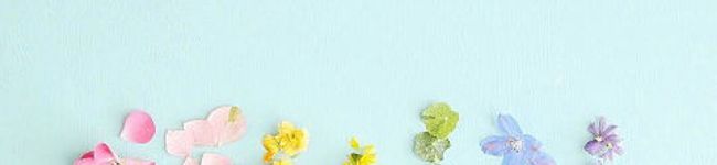“まめすけ”'s header image