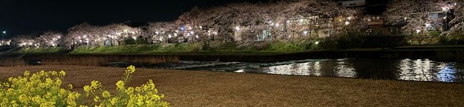 ame122446's header image