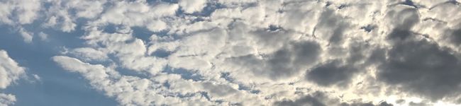 ごましば1217's header image