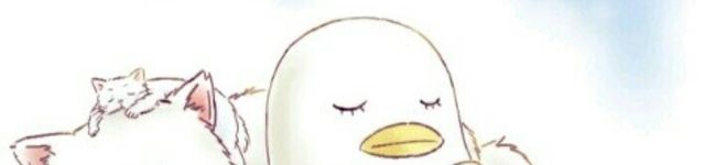 クック2WQ5YZ☆'s header image