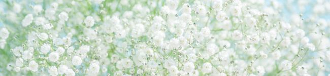 なおにぎり⁎☆'s header image