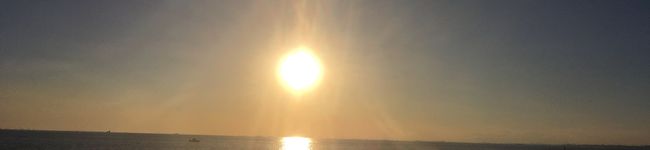 nanae_mu's header image