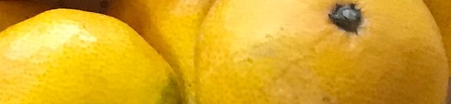 クックDBUDJU☆'s header image