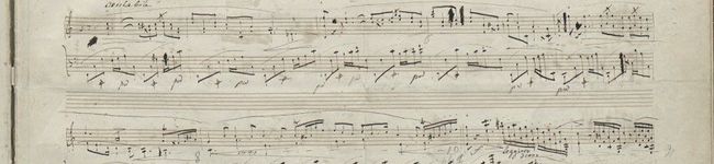 cotocotocobo's header image