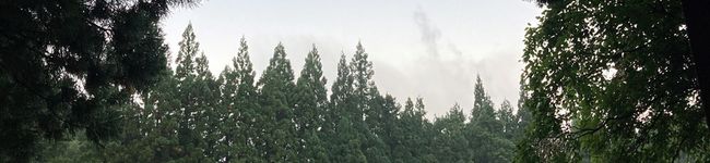 ノワレザン's header image