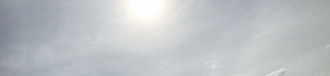 pipipi♡'s header image