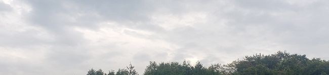 Zack0123's header image