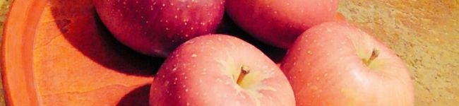 紫☆yymm's header image