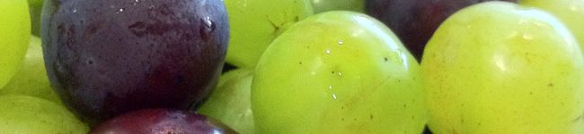 Mahtea's header image