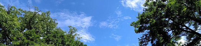 may蛙's header image