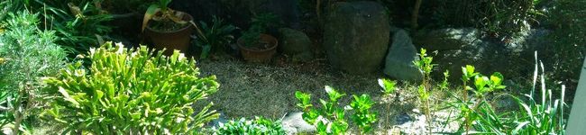 唐梨宮子's header image