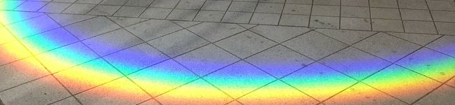 フレンチトイプードル's header image