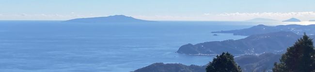 Cook5817's header image