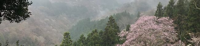 宮下竜太's header image