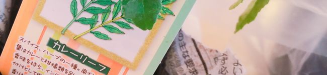 野良りんご's header image