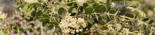 narie8751's header image