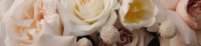 _mgn02's header image